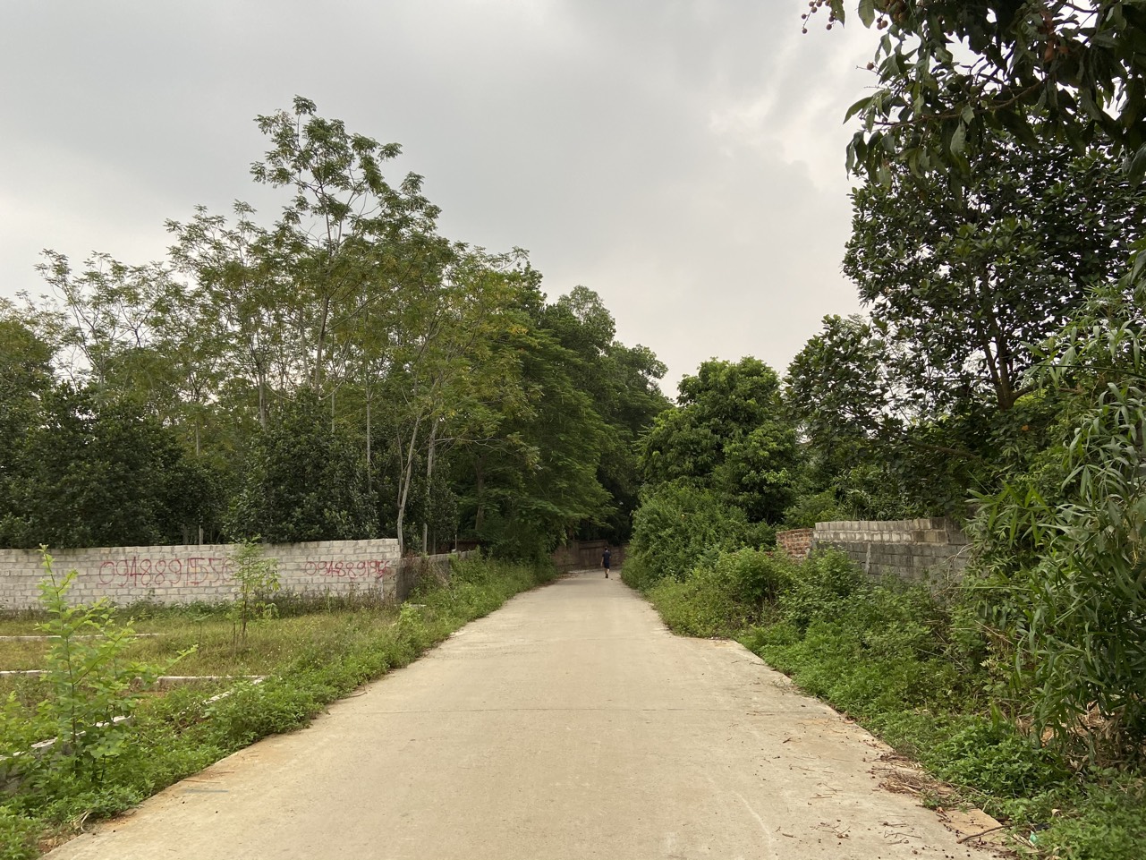 Bán 72m2 đất full thổ cư trục chính thôn Linh Sơn, Bình Yên 12468419