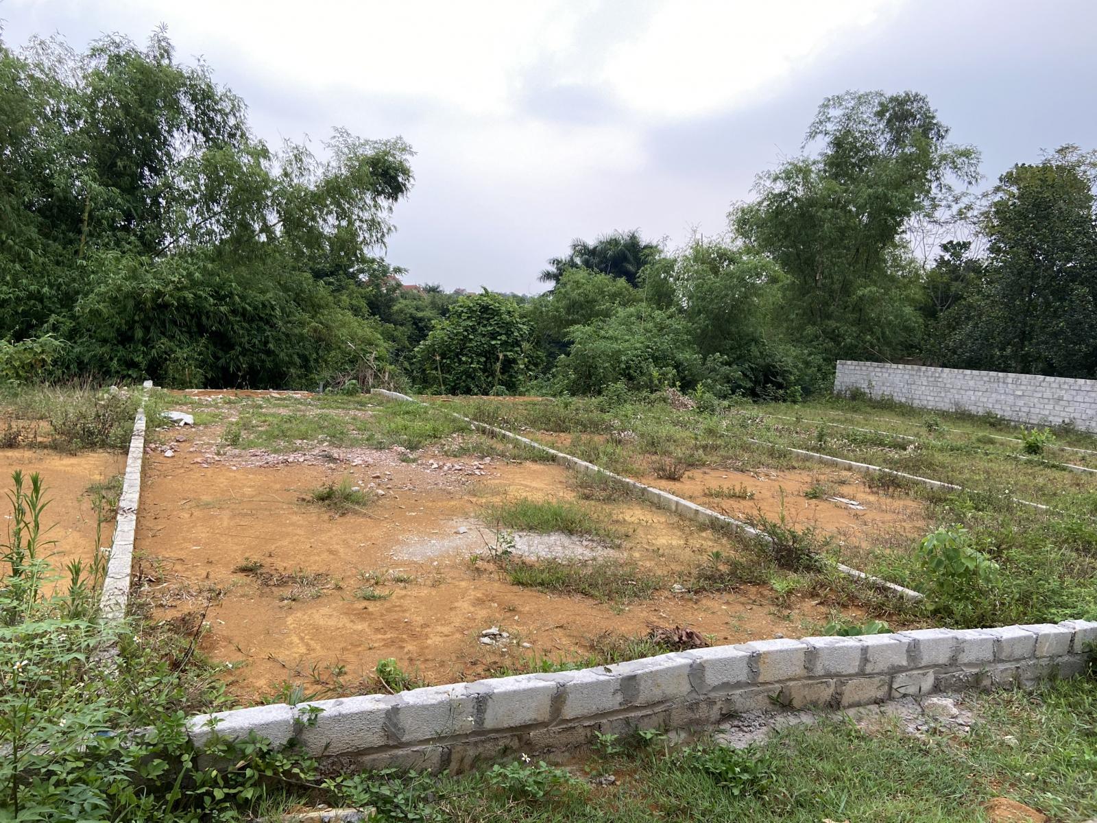 Bán 72m2 đất full thổ cư trục chính thôn Linh Sơn, Bình Yên 12468419