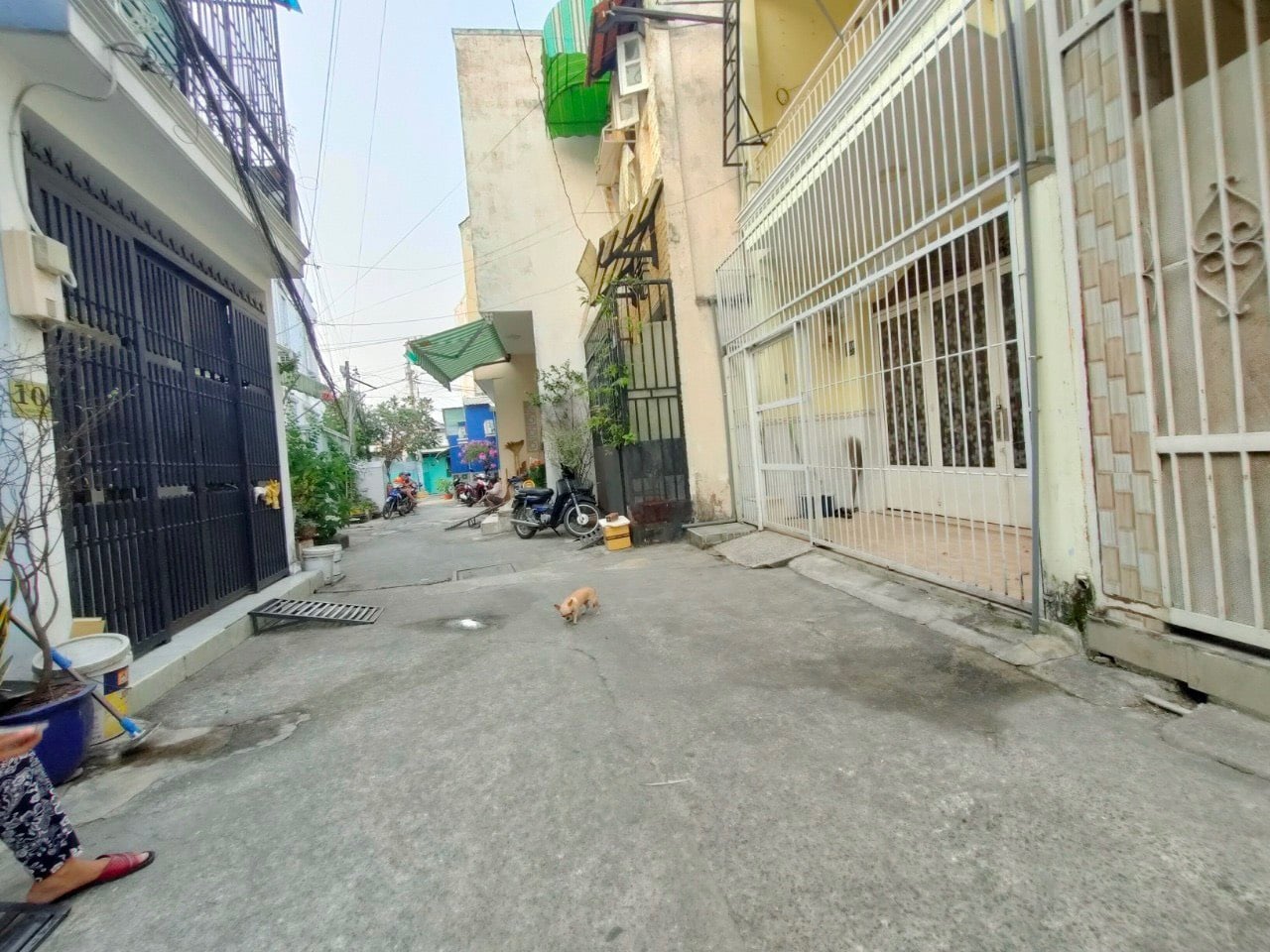 Nhà nát – giá nát hơn nhà, Nguyễn Tri Phương, Q.10, 4 tỷ hơn 12479889