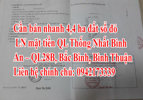 Cần bán nhanh 4,4 ha đất sổ đỏ CLN mặt tiền QL Thống Nhất Bình An - QL28B, Bắc Bình, Bình Thuận 12481984