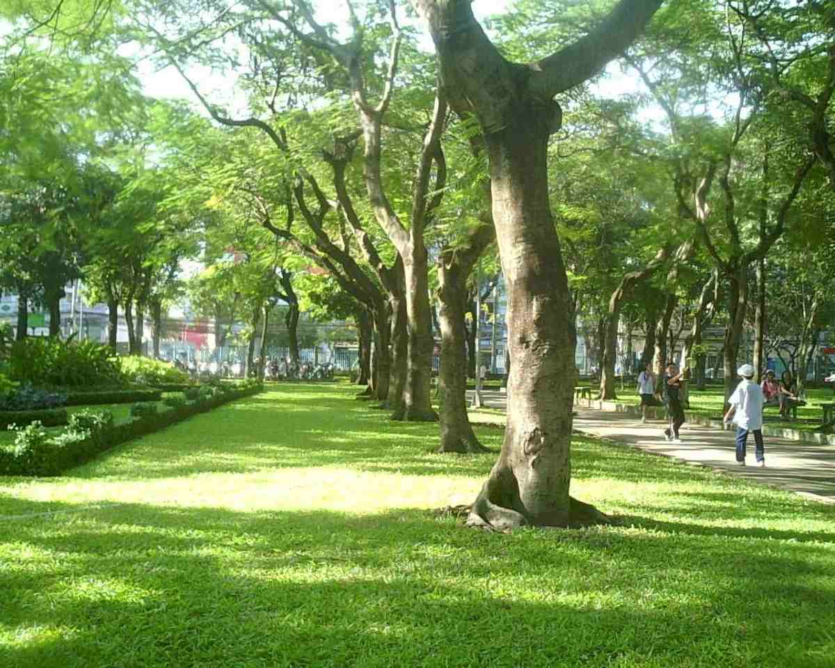 Bán nhà đường Nguyễn Đình Chiểu, Hai Bà Trưng, 5 tầng, Gần Hồ 12483004