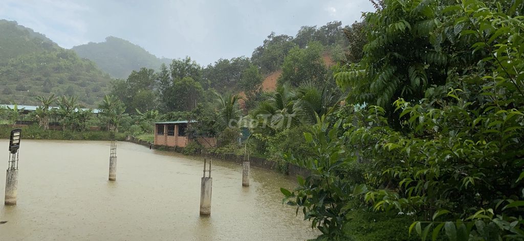 Cần bán đất vườn Thôn 8, Đạ Kho – Đạ Tẻh Lâm Đồng 12487930