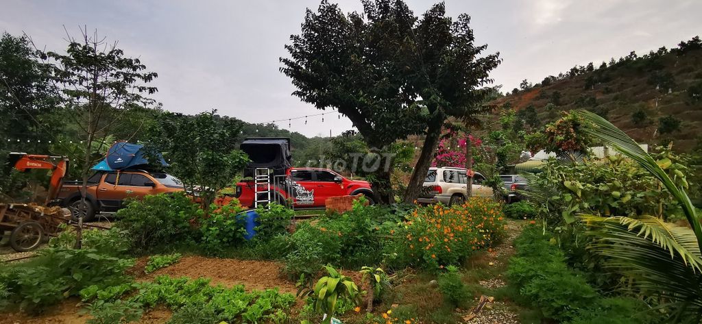 Cần bán đất vườn Thôn 8, Đạ Kho – Đạ Tẻh Lâm Đồng 12487930