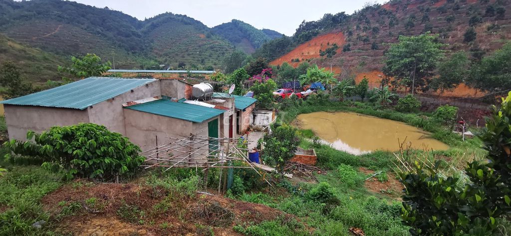 Cần bán đất vườn Thôn 8, Đạ Kho – Đạ Tẻh Lâm Đồng 12487930