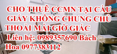 CHO THUÊ CCMN TẠI CẦU GIẤY KHÔNG CHUNG CHỦ THOẢI MÁI GIỜ GIẤC 12491503