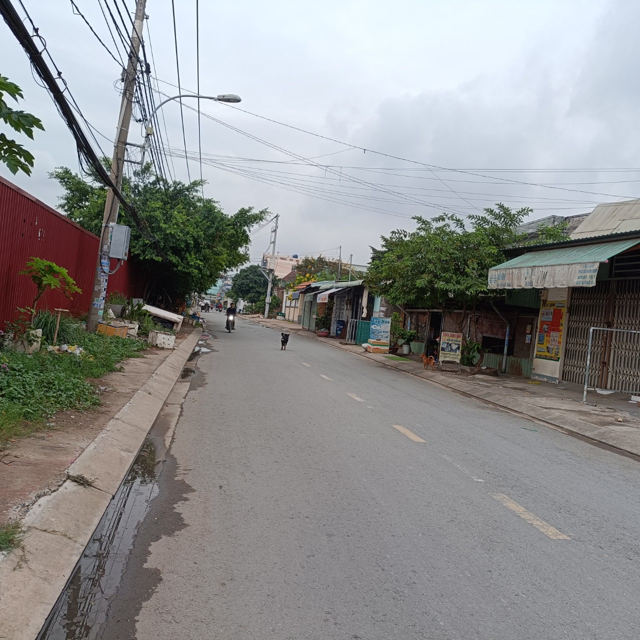 Chính chủ bán đất Mặt tiền đường Nguyễn Văn Cự, Bình Tân 4x50 đường 10 m thông giá 6 tỷ(TL) 12506631