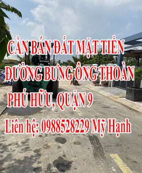 CẦN BÁN ĐẤT MẶT TIỀN ĐƯỜNG BƯNG ÔNG THOÀN, PHÚ HỮU, QUẬN 9 12513897