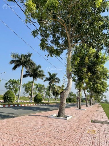 BÁN ĐÂT NỀN MẶT TIỀN QL 50,THỊ TRẤN CẦN ĐƯỚC,HUYỆN CẦN ĐƯỚC, LONG AN 12525094