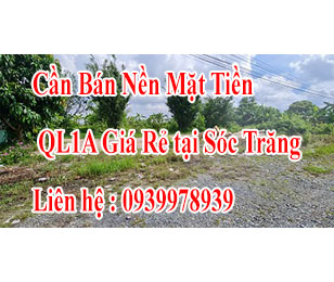 Cần Bán Nền Mặt Tiền QL1A Giá Rẻ 12556127