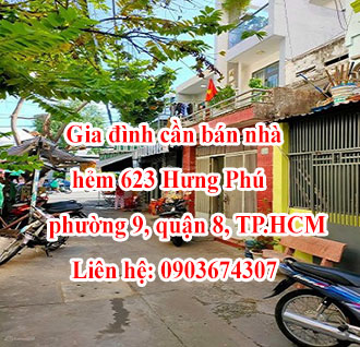 Gia đình cần bán nhà hẻm 623 Hưng Phú - cách cầu Nguyễn Tri Phương 50m, phường 9, quận 8, TP.HCM 12556194