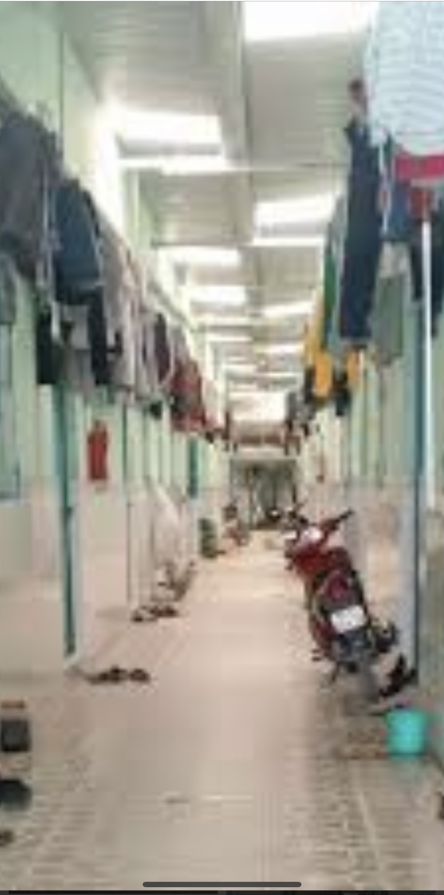 Chị gái cần bán dãy trọ liền kề đường DI-5E kcn Bàu Bàng , tỉnh Bình Dương 12563019