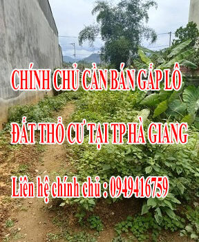 CHÍNH CHỦ CẦN BÁN GẤP LÔ ĐẤT THỔ CƯ TẠI TP HÀ GIANG 12573925