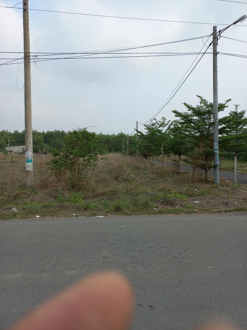 CẦN BÁN ĐẤT 2 MẶT TIỀN ĐƯỜNG NHỰA BUÔN BÁN XÃ AN VIỄN, HUYỆN TRẢNG BOM, ĐỒNG NAI 12581120