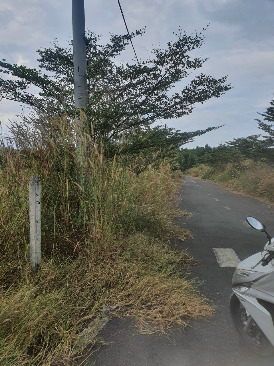 CẦN BÁN ĐẤT 2 MẶT TIỀN ĐƯỜNG NHỰA BUÔN BÁN XÃ AN VIỄN, HUYỆN TRẢNG BOM, ĐỒNG NAI 12581120