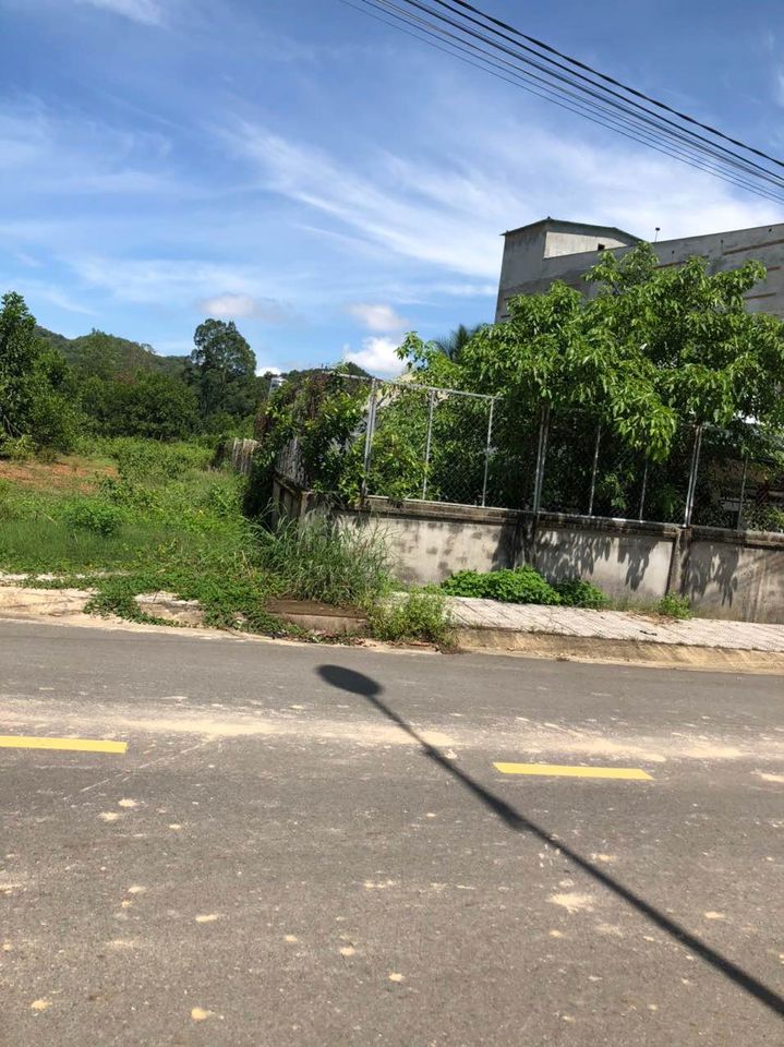 Cần bán nhà yến và nhà ở chung lô đất tại trung tâm Thị trấn Ma Đa Guôi, Huyện Đạ Huoai, Lâm Đồng 12591245