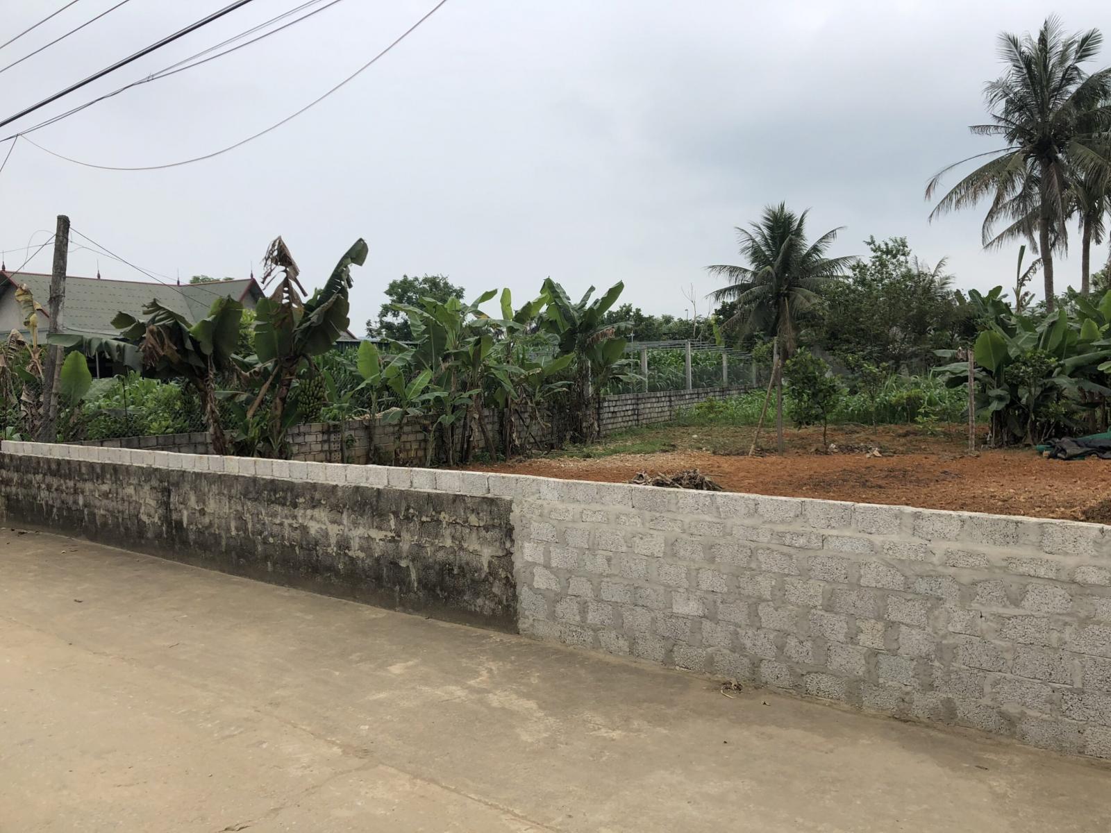 Chính chủ cần bán đất tại Tượng Sơn, Nông Cống, Thanh Hoá 12594185