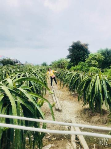 140m2 (5*28) đất ở xây nhà chính chủ cần tiền bán gấp 600tr hạ chốt 540tr KTL bán 2 lô liền kề 12594686