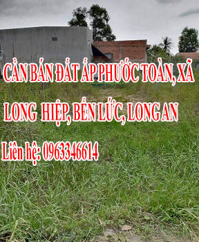 Bán đất ấp Phước Toàn, xã Long Hiệp, Bến Lức, Long An 12613193