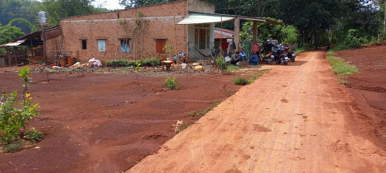 ĐẤT SỔ SẴN GIÁ 555 TRIỆU TẠI HỚN QUẢN BÌNH PHƯỚC 12628266