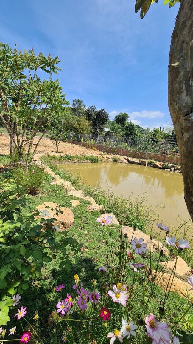 Bán mảnh đất vườn đẹp có thổ Ven thành phố Nha Trang - Diên Đồng 
sdt 0985451850 Xuân Xuyên 12659259