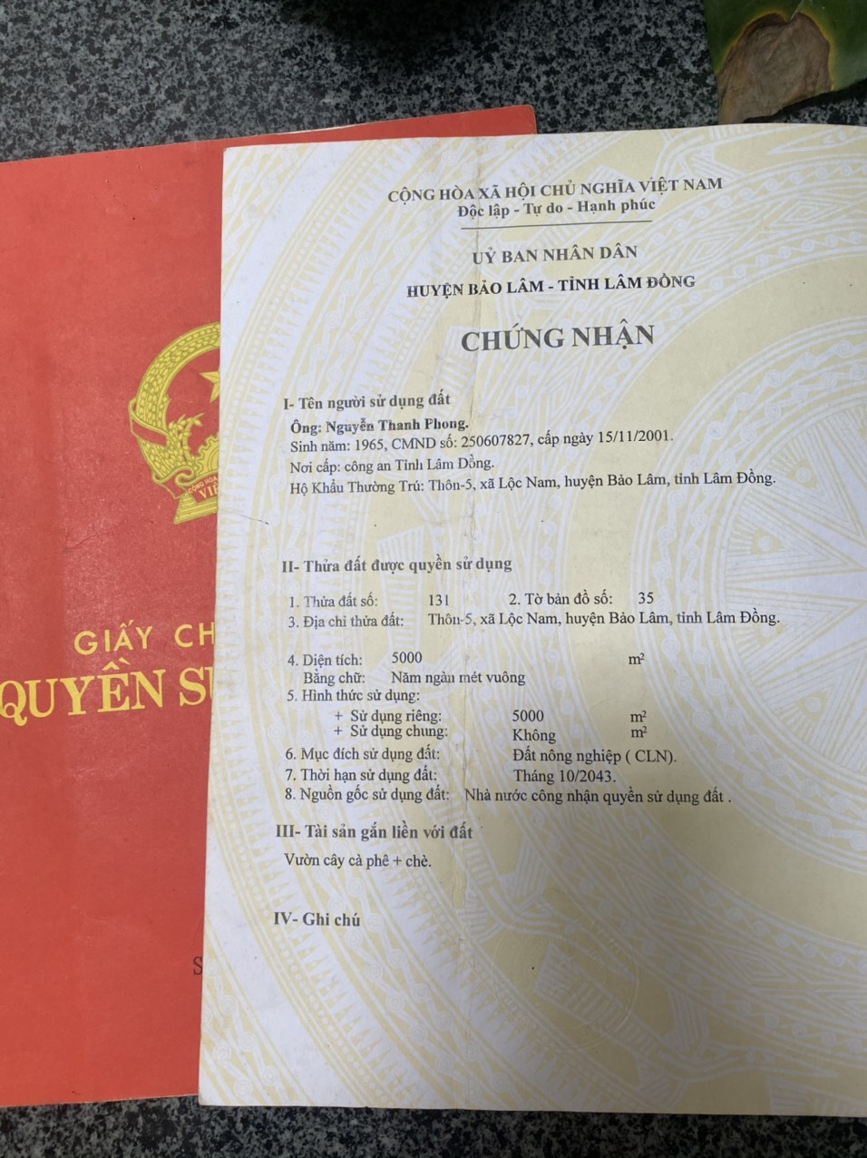 CHÍNH CHỦ BÁN SIÊU PHẨM ĐẤT NGHỈ DƯỠNG THUỘC THÔN 5, XÃ LỘC NAM, BẢO LÂM, LÂM ĐỒNG. 12666582