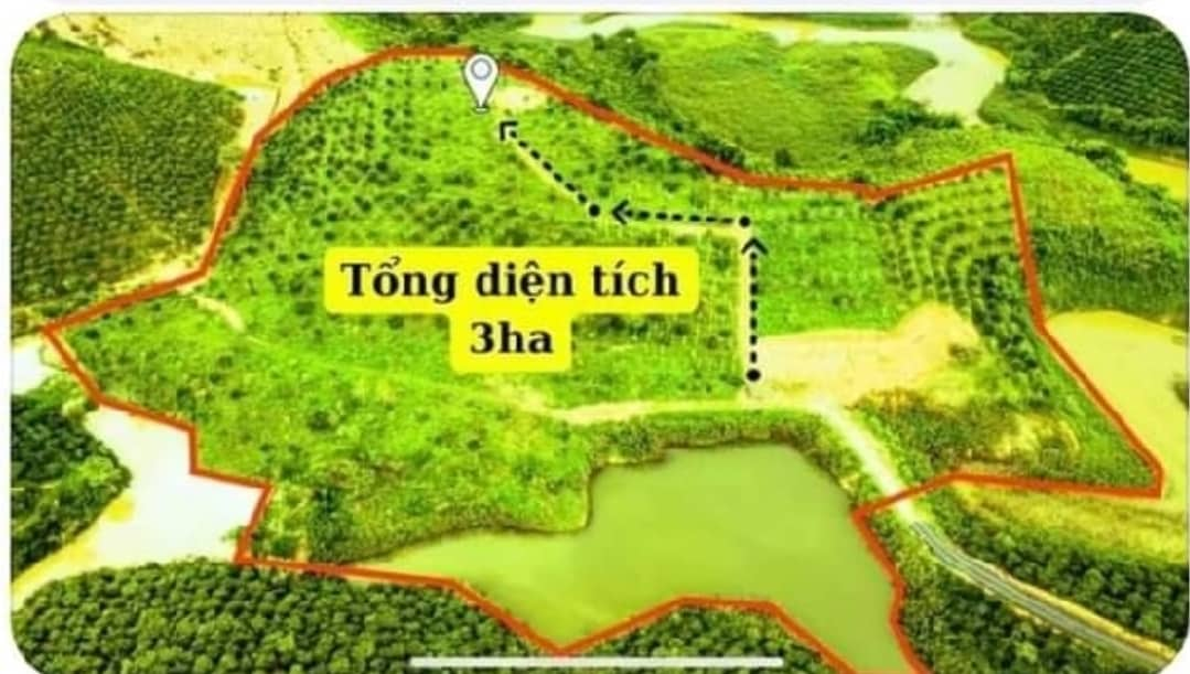 Bán siêu phẩm 3 ha view hồ đại ninh thuộc ninh gia đức trọng 350tr/1 sào
 12691441