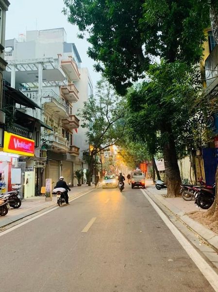 Mặt Phố Phó Đức Chính 158m2 , MT6, Giá 60 tỷ 12725544