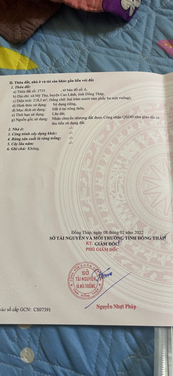 CHÍNH CHỦ CẦN BÁN ĐẤT DẸP GIÁ RẺ TẠI HUYỆN CAO LÃNH - TỈNH ĐỒNG THÁP 12725959