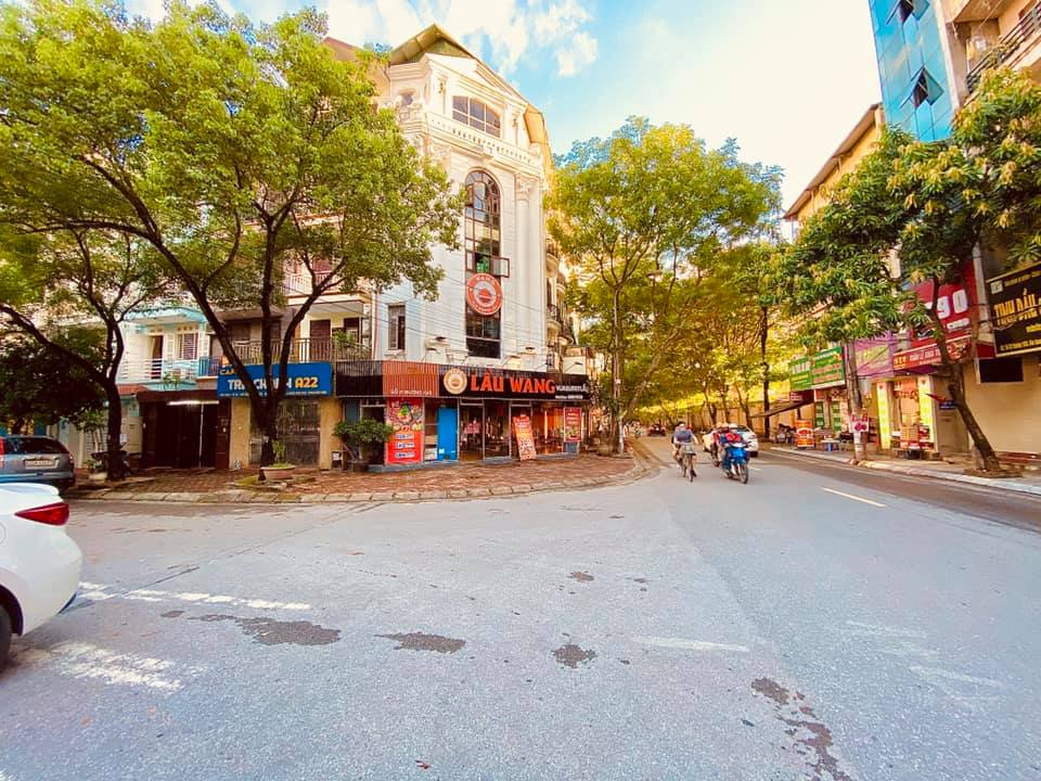 BIỆT THỰ LÔ GÓC 2 MẶT PHỐ NGUYỄN VĂN LỘC DT 300 12765371