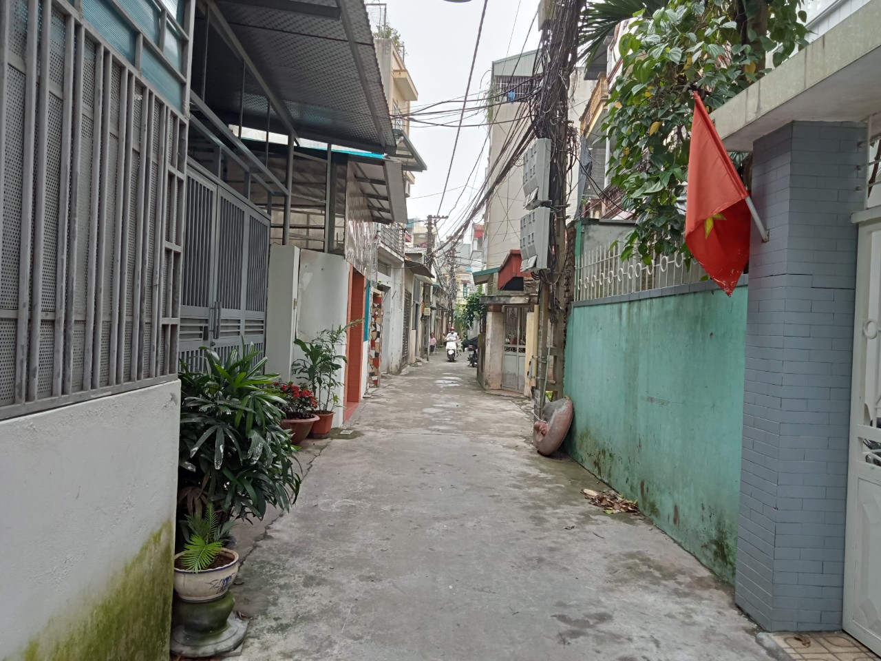 Chính chủ cần bán nhà 4 tầng tại số 56b ngách 29/34 tổ 8 Thượng Thanh, Long Biên, Hà Nội. 12768382