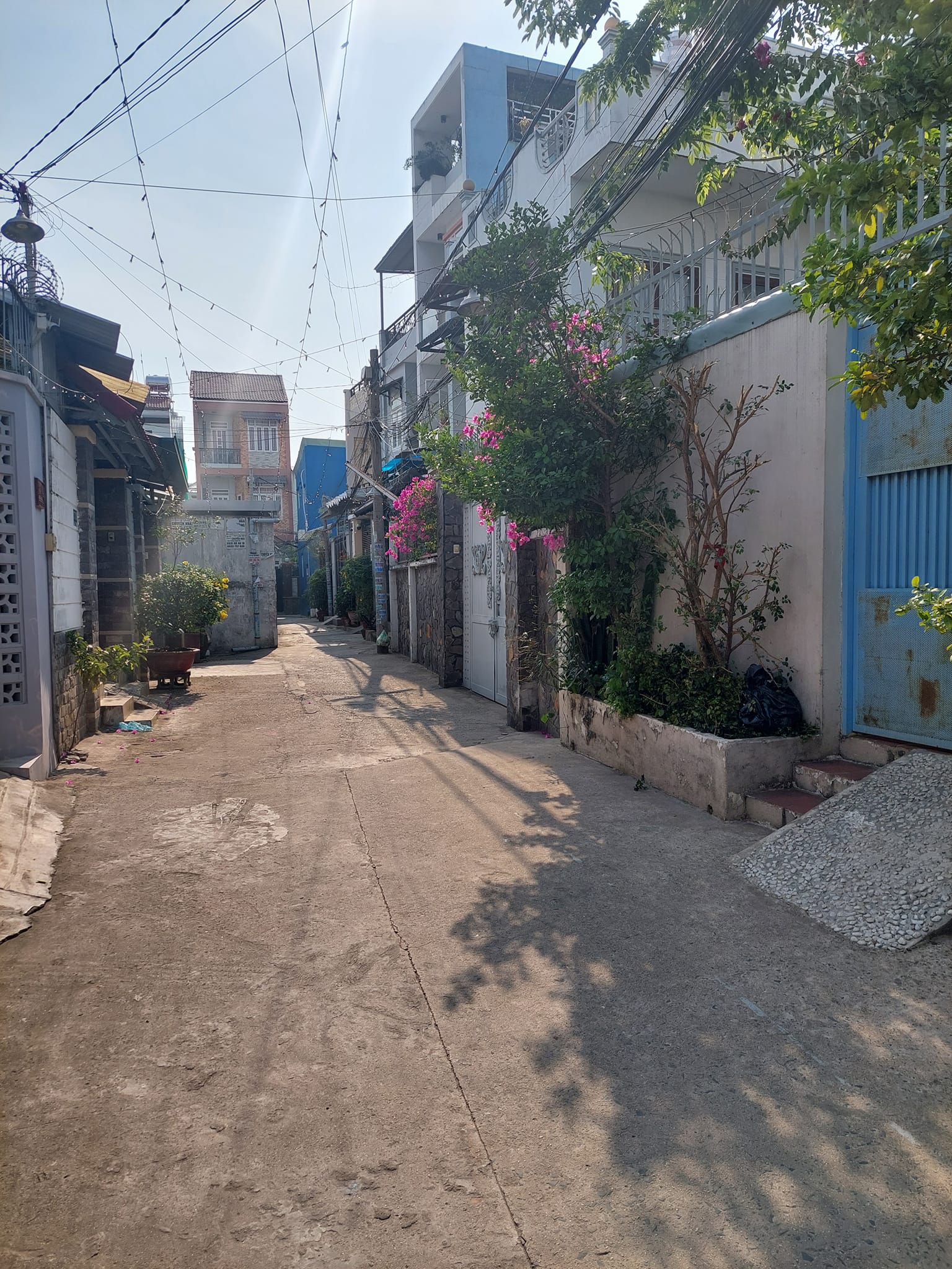 Bán gấp Đất 2 mặt hẻm gần chợ Hiệp Bình đường số 51 Thủ Đức 75m2 giá 4.3 tỷ 12783826