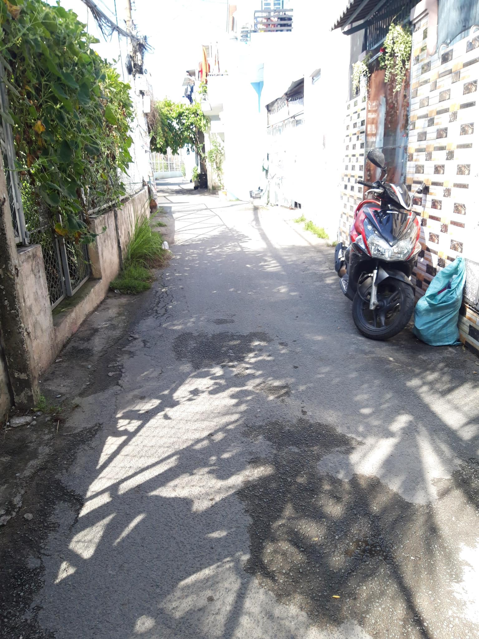 Bán gấp Nhà đường sô 45 Hiệp Bình Chánh 2 mặt hẻm gần Chợ Bình Triệu 55m2 giá 3.2 tỷ 12784615