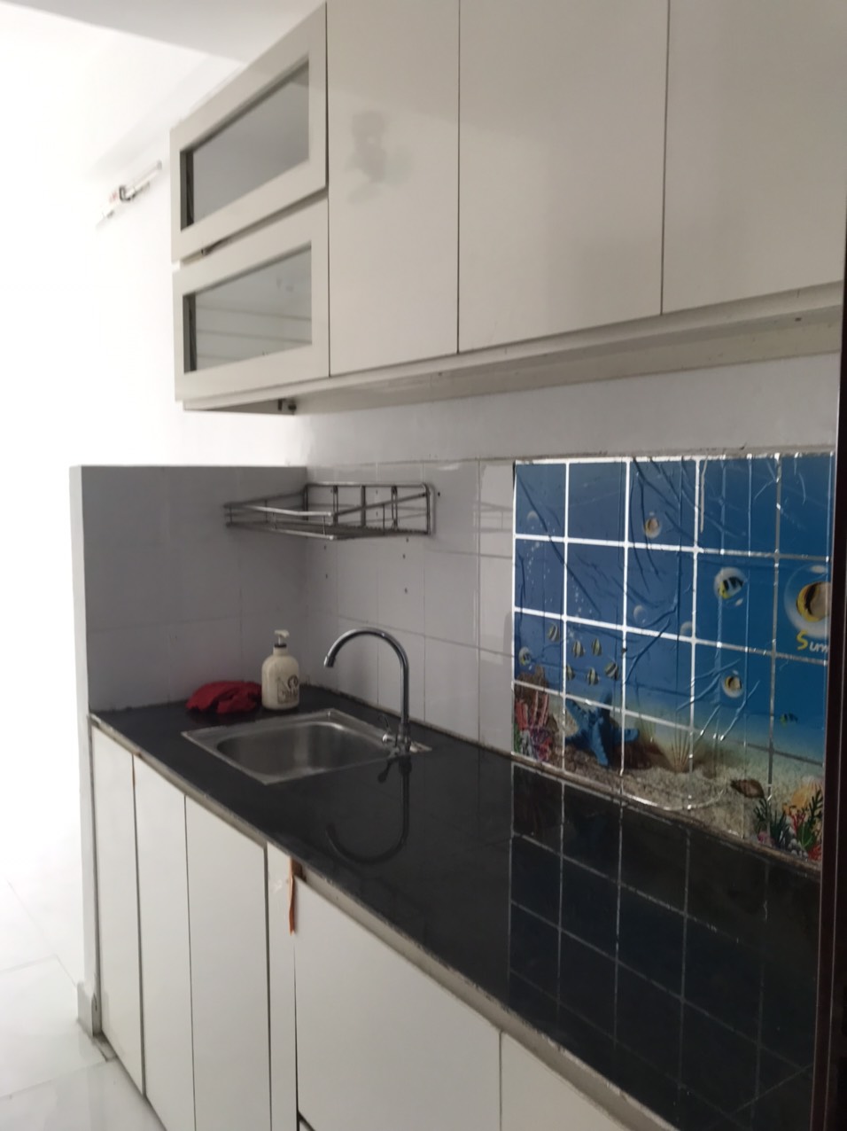 CHÍNH CHỦ CẦN BÁN CĂN HỘ CHUNG CƯ TÂN MỸ, QUẬN 7. 12795496