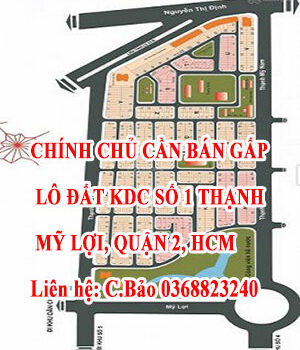 Chính chủ cần bán gấp lô đất KDC Số 1 Thạnh Mỹ Lợi, Quận 2, HCM 12815678