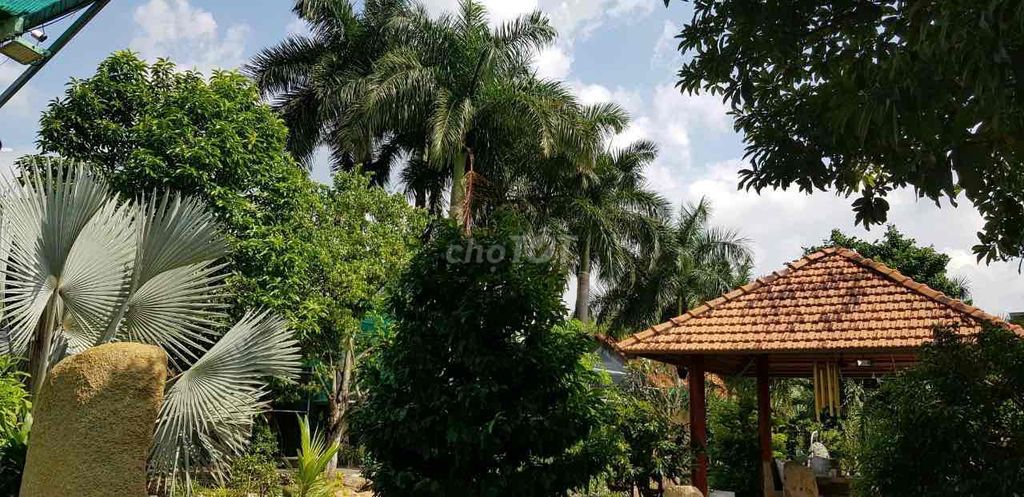 CHÍNH CHỦ CẦN BÁN BIỆT THỰ SÂN VƯỜN XÃ LONG PHƯỚC - HUYỆN LONG THÀNH - ĐỒNG NAI 12841689