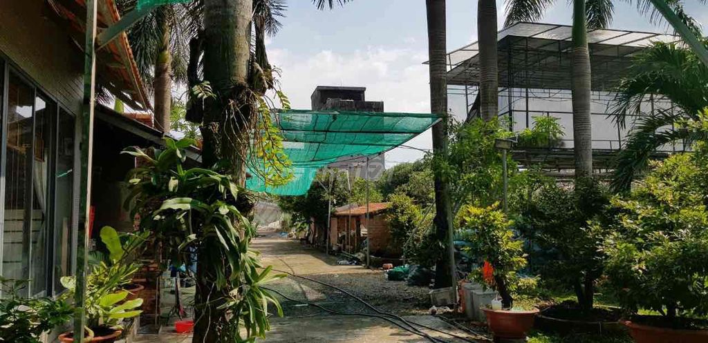 CHÍNH CHỦ CẦN BÁN BIỆT THỰ SÂN VƯỜN XÃ LONG PHƯỚC - HUYỆN LONG THÀNH - ĐỒNG NAI 12841689