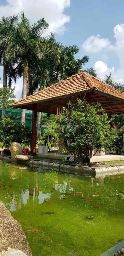 CHÍNH CHỦ CẦN BÁN BIỆT THỰ SÂN VƯỜN XÃ LONG PHƯỚC - HUYỆN LONG THÀNH - ĐỒNG NAI 12841689