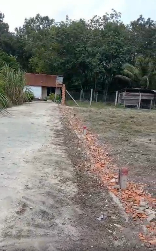 CẦN RA ĐI LÔ ĐẤT ĐẸP VỊ TRÍ TRUNG TÂM ẤP TÂN TRƯỜNG, XÃ TÂN HIỆP, HUYỆN TÂN CHÂU, TÂY NINH 12850748