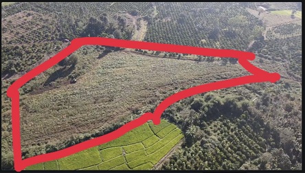 Bán lô đất đẹp giá tốt cho nhà đầu tư 12875846