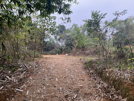 Bán mảnh đất vị trí đắc địa tại Cần Kiệm, Thạch Thất, Hà Nội 12881279