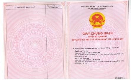 Chính chủ cần bán nhà tại 96/19 đường Lý Tự Trọng, Phường An Cư, Quận Ninh Kiều, Thành phố Cần Thơ 12890502