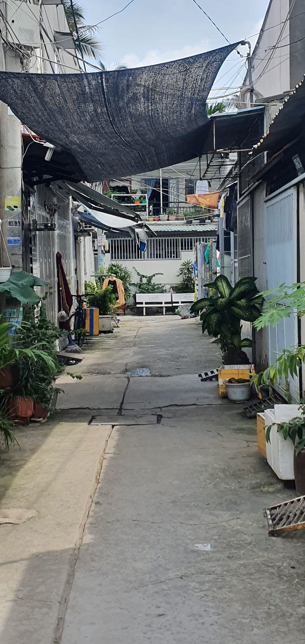 Bán nhà đường số 38, Hiệp Bình Chánh, gần chợ Hiệp Bình 55m2 giá 3.4 tỷ 12915499