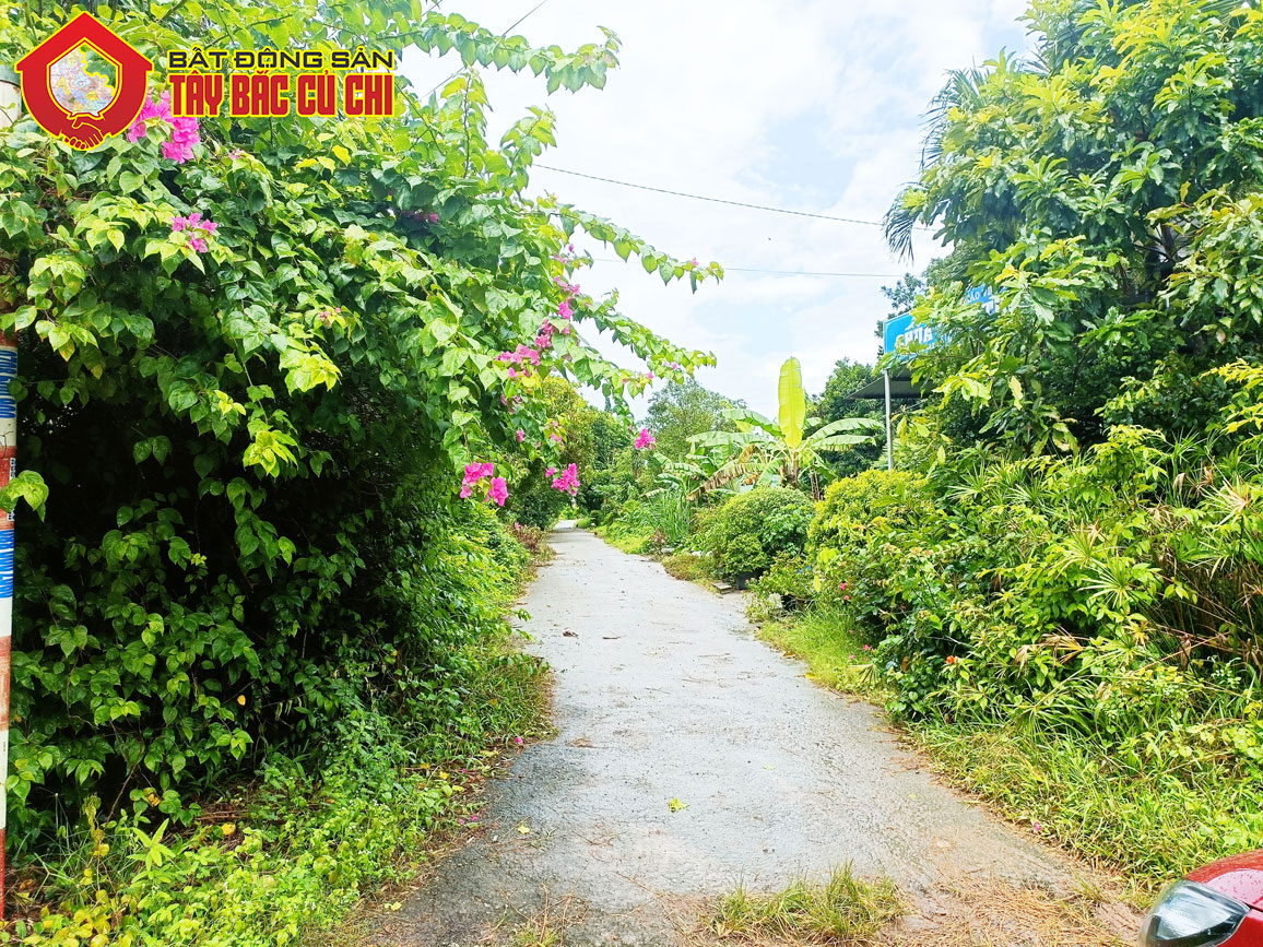 Bán nhà đường Nguyễn Thị Rõ - 348m2 - 8x50 cạnh 33m - 313m2 thổ cư - xã Tân An Hội - Củ Chi 12949292