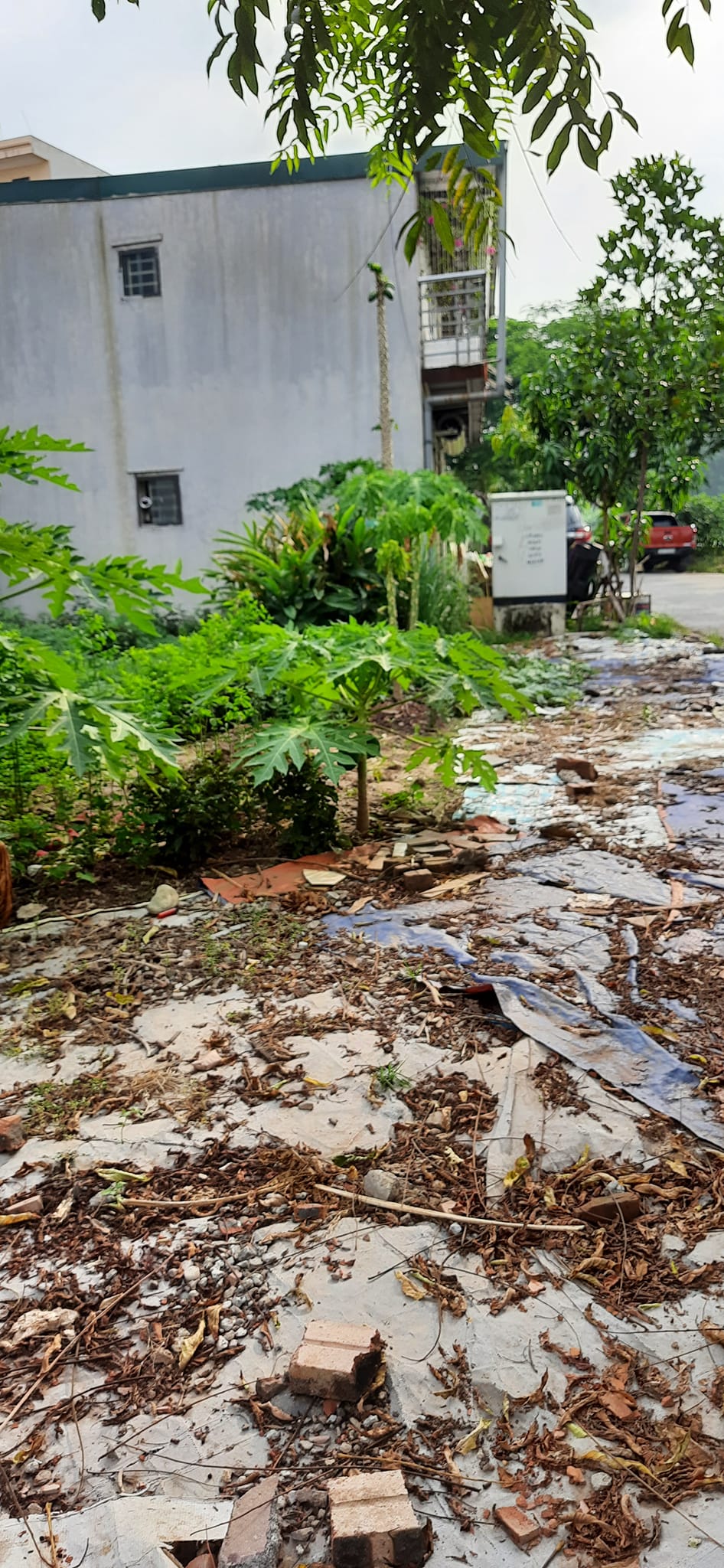 Bán đất Hoàng Liệt DT 100m2 MT 6m giá 5.98 tỷ. Gần ô tô tránh 12951996