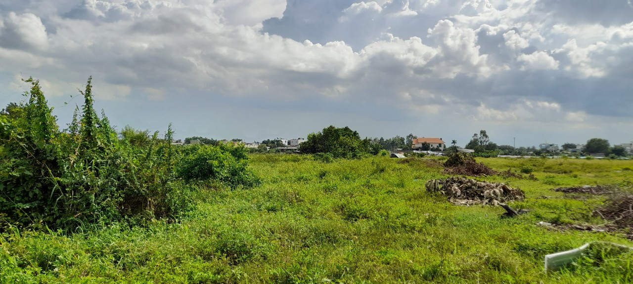 Cần Bán 310m2 Đất Vuông Vắn TTT Hóc Môn 12957993