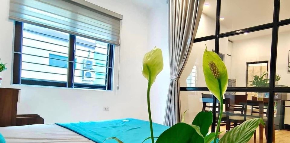 CCMN HỒ TÙNG MẬU, 66m2 x 7 T THANG MÁY, SIÊU DÒNG TIỀN, KHÉP KÍN 12 PHÒNG, 50tr/tháng, 66m2 x 7T, 8 TỶ LH 093.944.6958 12972206