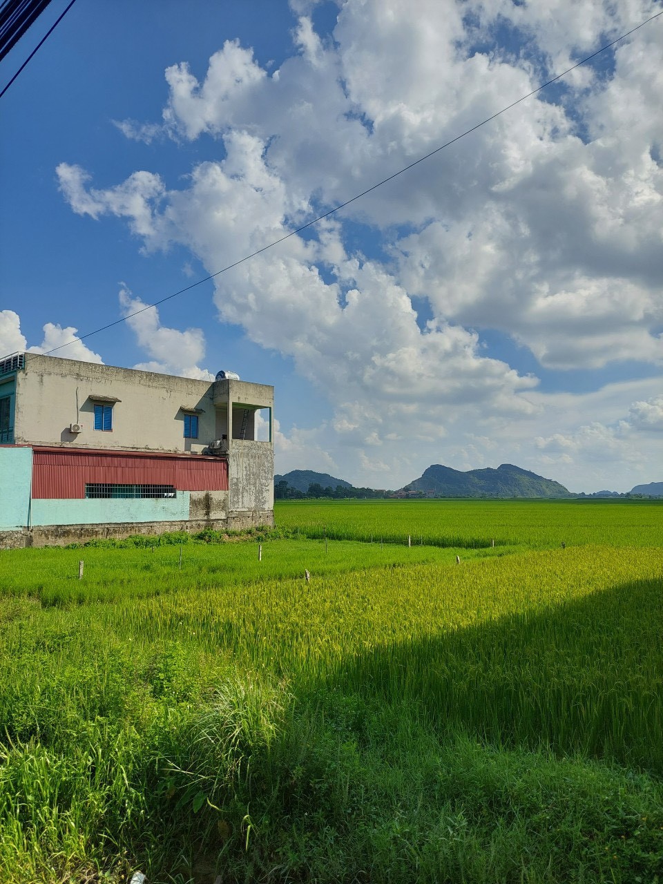 CHÍNH CHỦ CẦN RA NHANH LÔ ĐẤT VỊ TRÍ TRUNG TÂM QL217 VĨNH YÊN, VĨNH LỘC, THANH HÓA 12973192