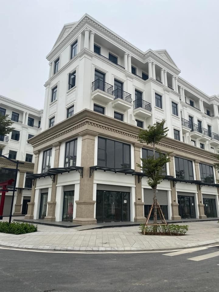 169m2 6 tầng Biệt thự liền kề shophouse Hải Âu Vinhomes Ocean Park 0969568293 12982202