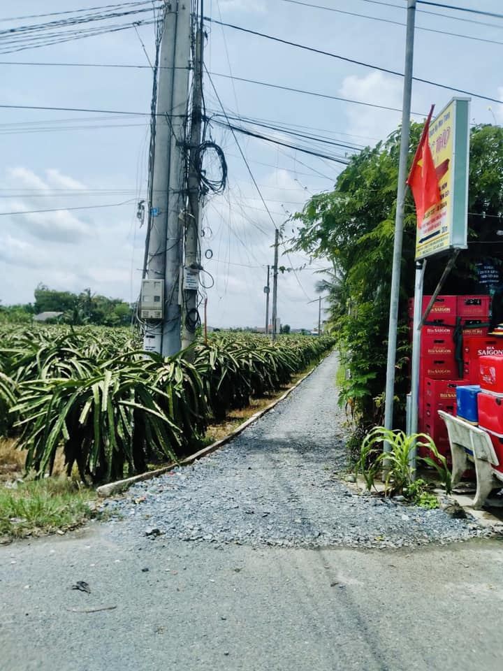 109m2 đất thổ phước tân hưng châu thành long an chỉ 380tr 12982719