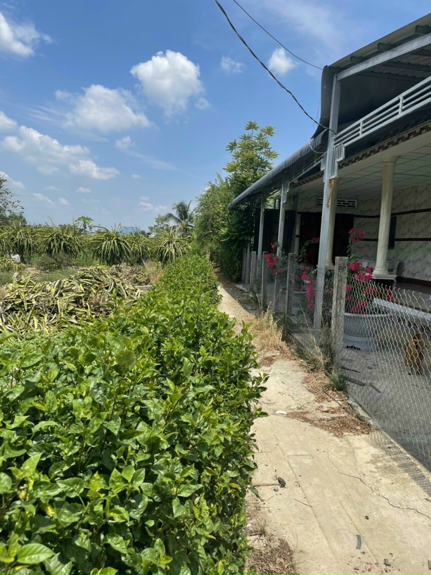 109m2 đất thổ phước tân hưng châu thành long an chỉ 380tr 12982719